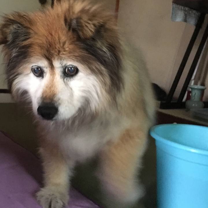 94c1c527 82ae 4ff5 b6e3 d19c53e69b92 1623734703262