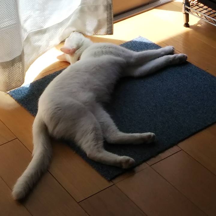 94c1d1a6 f310 4cdd 9482 717a1c56166c 1627177755595