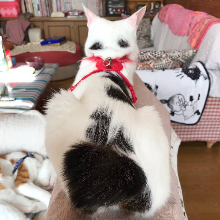 94c234d6 01cc 4523 b6b8 b37691b4ba33 1557101391994