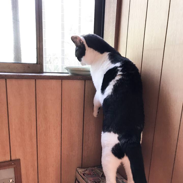 94c246fd 108c 476e 9fee 8dff81ffbb2e 1528077288787