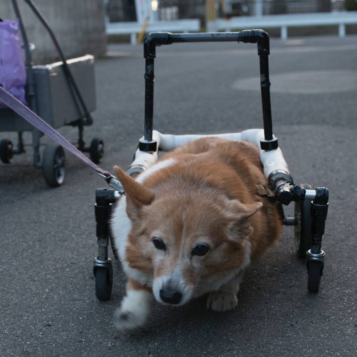 94c251df 24e3 45b3 b3bb 11115bb4cf9d 1555143000327