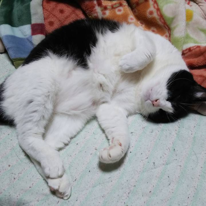 94c25bc1 bda0 4340 8e5b dbdcfe980554 1556720830266