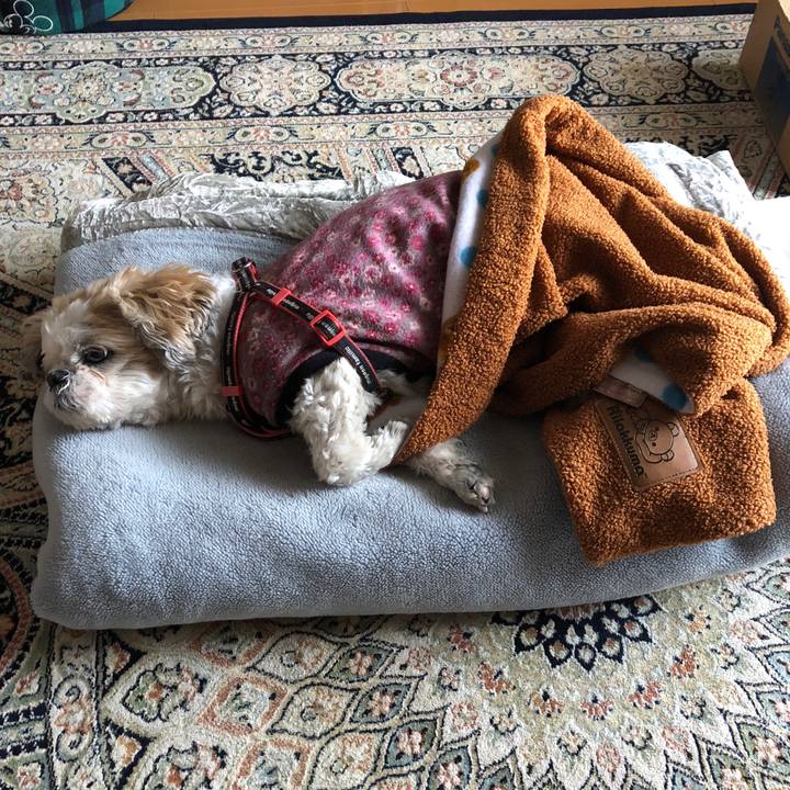 94c271f0 417b 433d ad11 ed1dab70a3a7 1611179344616