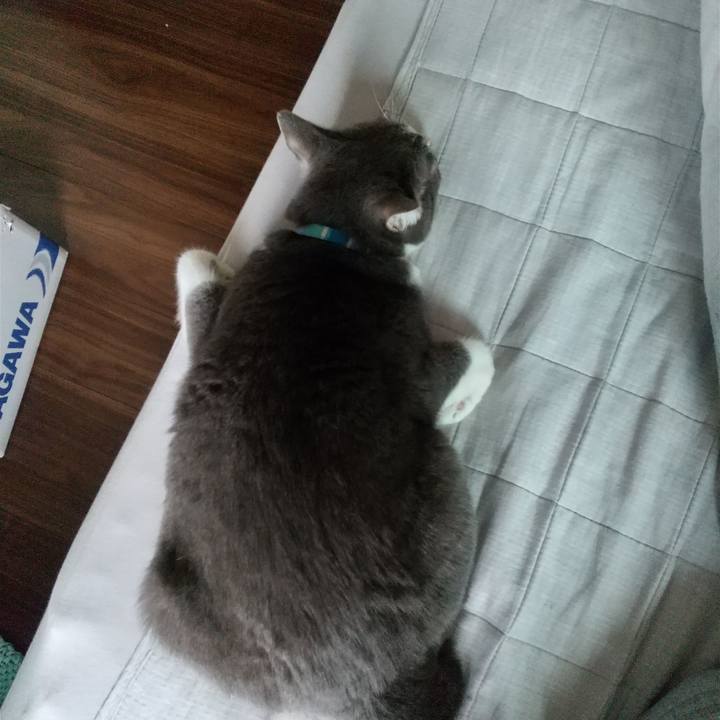 94c27329 59dd 4830 8e84 9d68eb9d5ffe 1637469805238