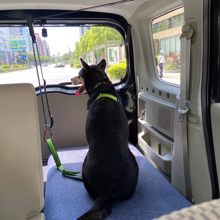 94c282d8 9dca 4f82 98da 400b9c0f8b27 1628429179905