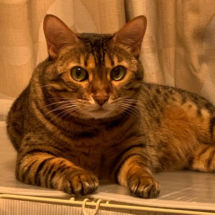 94c291fa 463b 4661 8036 f0123dbf5271 1593740344112