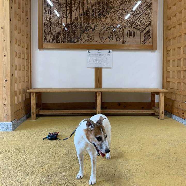 94c295dd eb2a 4ff8 a197 3cc9d033bc49 1601809137730