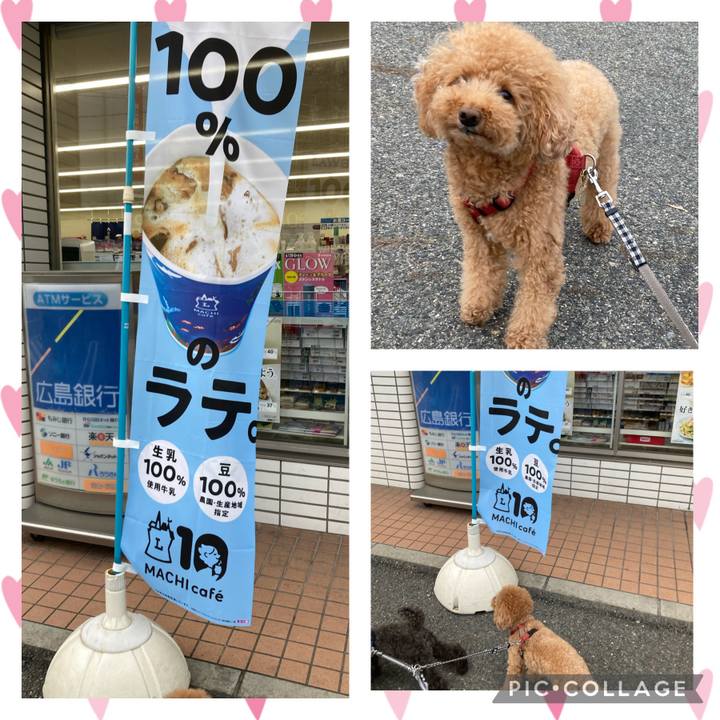 94c2976b 6c04 449e 8bcf 4148ed0a3895 1623938938291