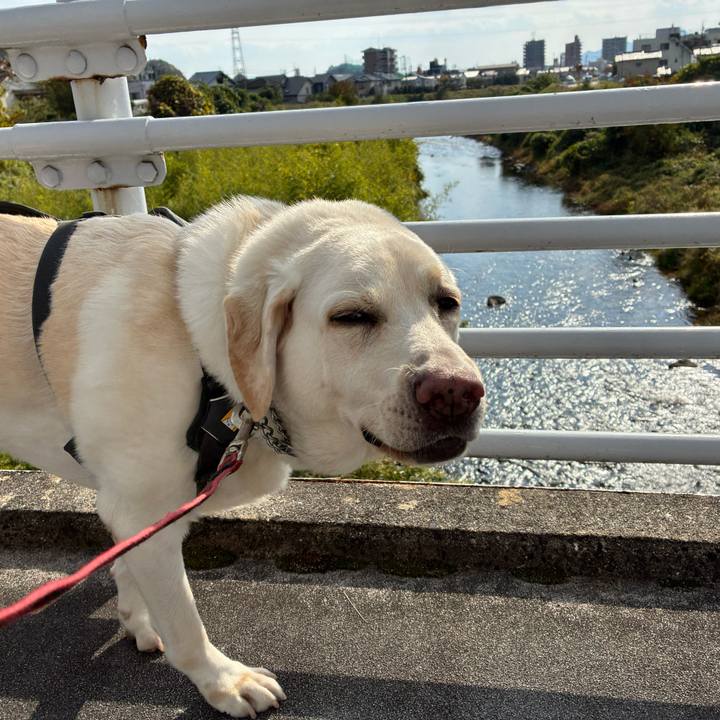 94c2b9a5 bf02 4fec aa9e 3cd09eec1a02 1763553797606