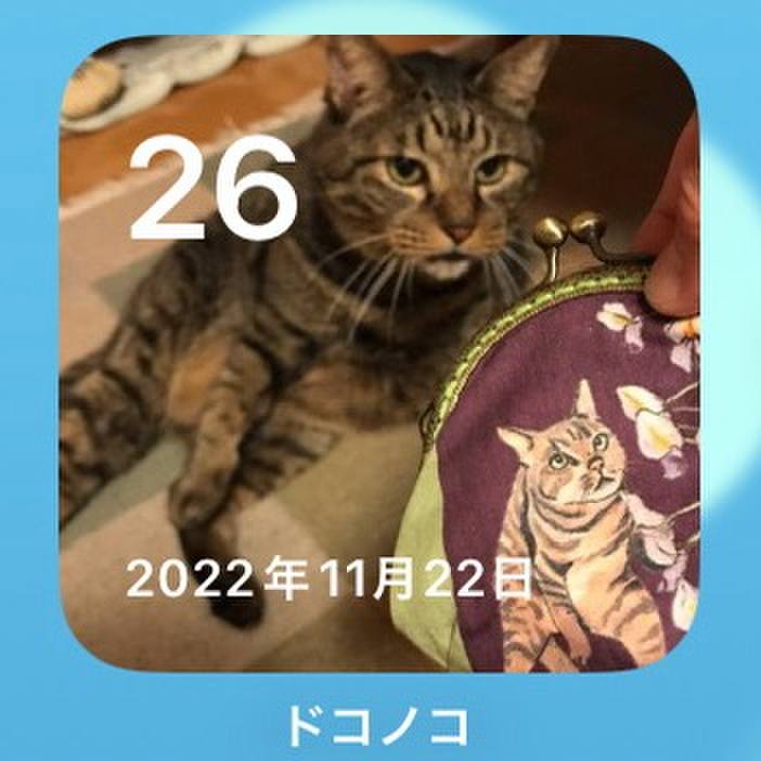 94c2db1e 2ec6 4f89 8e10 ccd5446ea3bd 1764126843569