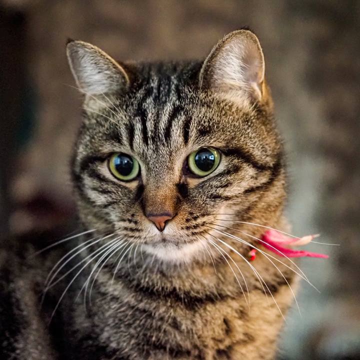 94c2f586 6baf 4dd6 a565 0bce0f2c5c88 1636672112909