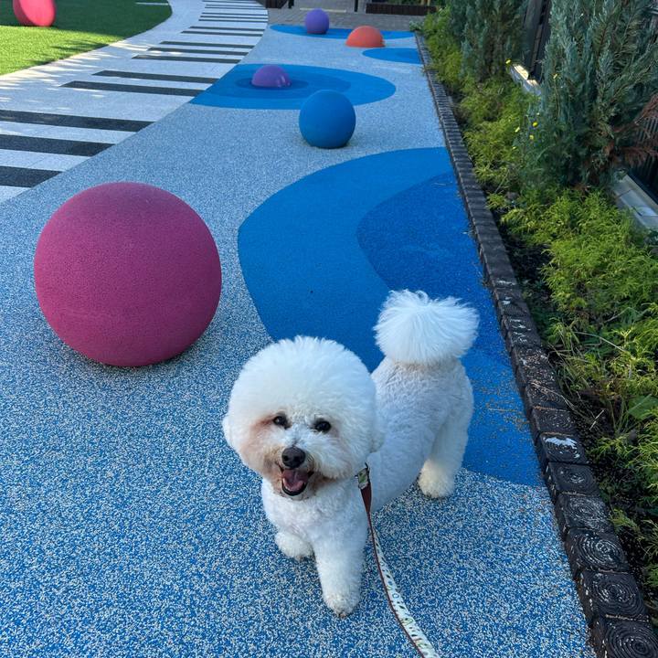 94c31510 b2be 4d55 b989 987eaac97ef9 1764135554754