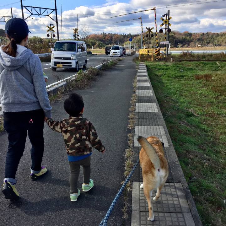 94c38172 a4ba 4bac a267 e0cf335bd7a5 1544244585830