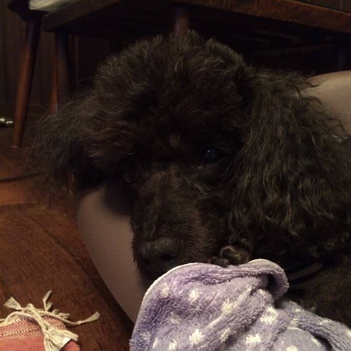 94c39845 5f7a 41e3 9796 503f6eb03c09 1508165319406