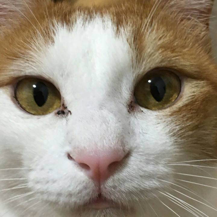 94c3a21d 953f 4be9 9653 52f6a4dea81e 1516459797282