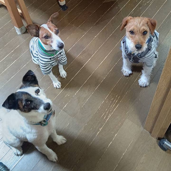 94c3cd1a a64e 408b 8d14 d96f6fd0bbaf 1715954674793