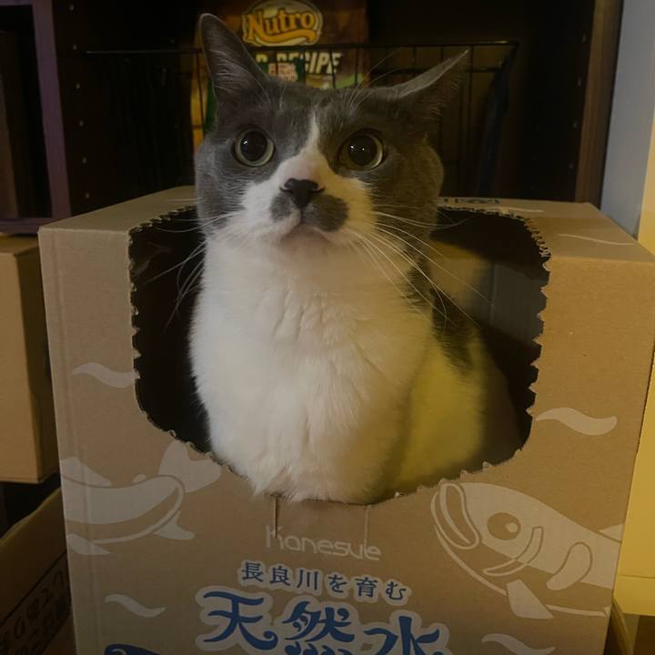 94c3cecf 5020 4007 93de 7470e3f6e6b0 1742644386538