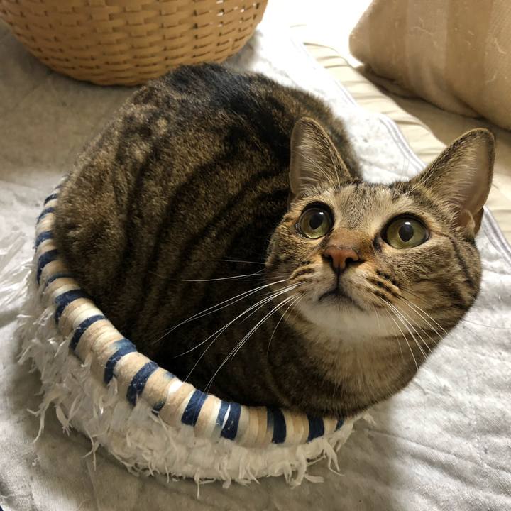 94c3f26c f482 4204 883b 90854210a2dd 1633550293579