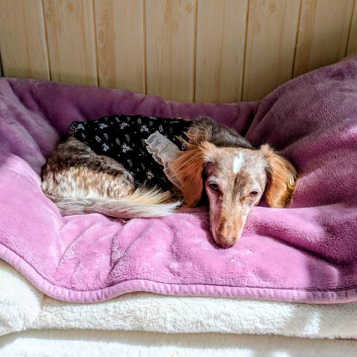 94c3f4af d496 4e61 bdf3 ab6372fb741a 1774316320932