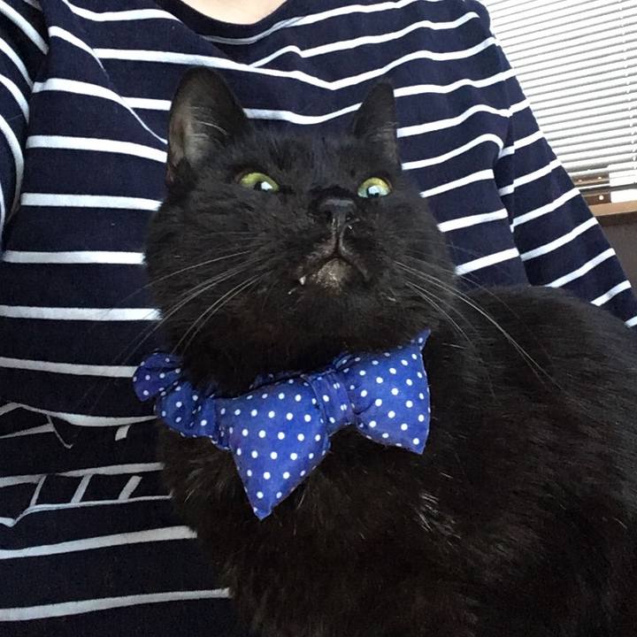 94c417c9 2358 468c a59f b0e29605bf84 1552339777048