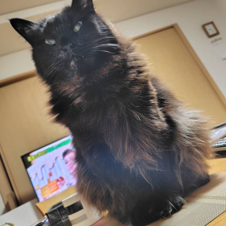 94c41aa2 61a1 454e 80a5 343d8b13fe40 1773750436321