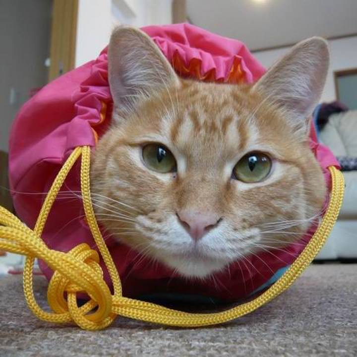 94c4340b a168 451e 92f4 fdf1fdded74f 1718411681476