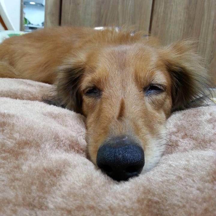 94c46017 b7e8 4985 81e3 e98043223be2 1543327703517