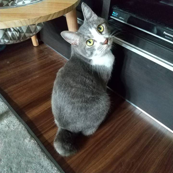 94c47a21 ee9d 4021 afb9 645652e80ad6 1599087754767