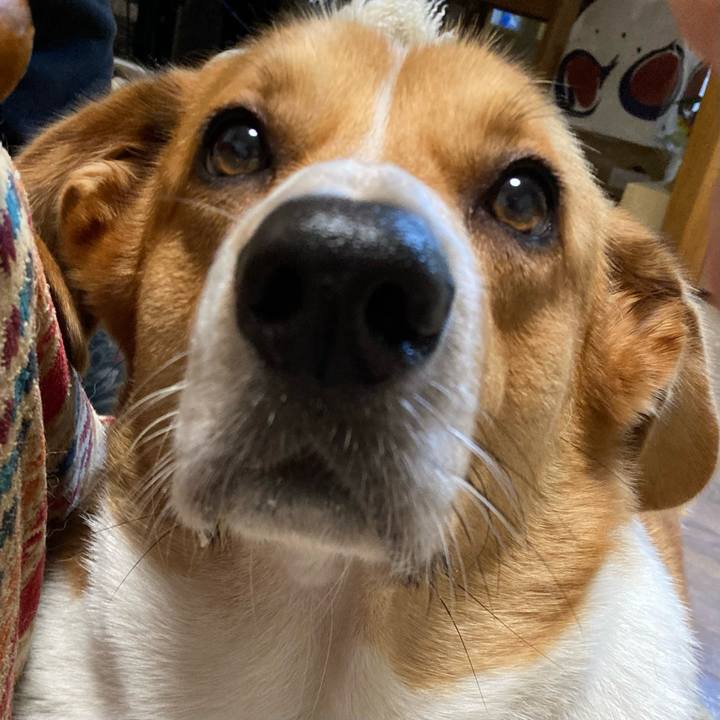 94c482cd 767f 477c 92db e192b47a64d8 1666226404587