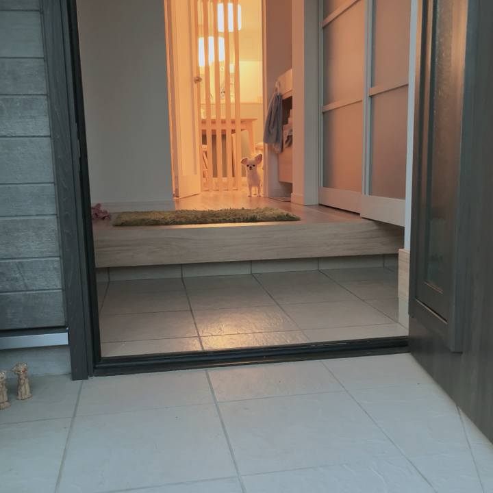 94c4d826 25db 4f67 9eb7 95a186a18254 1758019426889