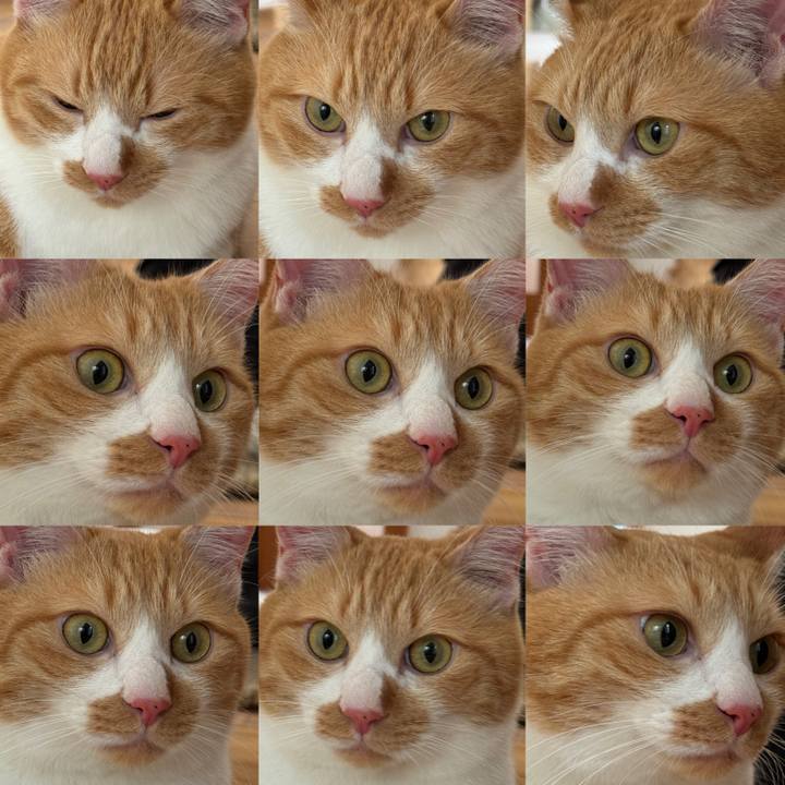 94c4d96b 7277 4dd1 b984 08a0732f7eed 1731483897121