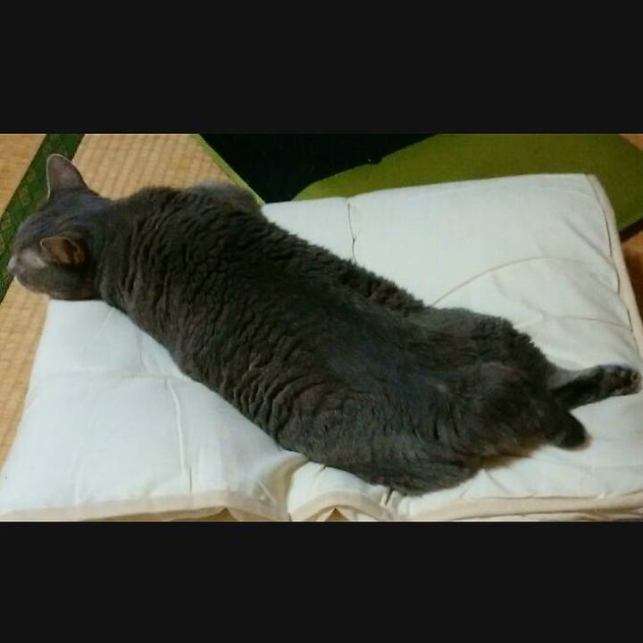 94c4e088 476b 4e10 bcdd f99aef77f01a 1567593917746