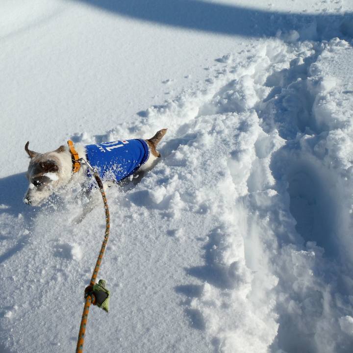 94c54b69 8c75 48f9 9e1a 9bfb82aec195 1610271261473