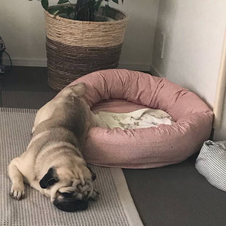 94c5700f 982e 4b48 a7f7 942c2a7ab207 1573714681326