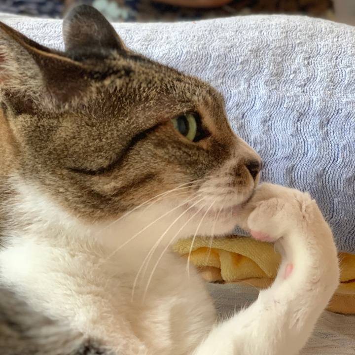 94c573c6 da4e 475c a9f7 815aeae8e302 1601082015119