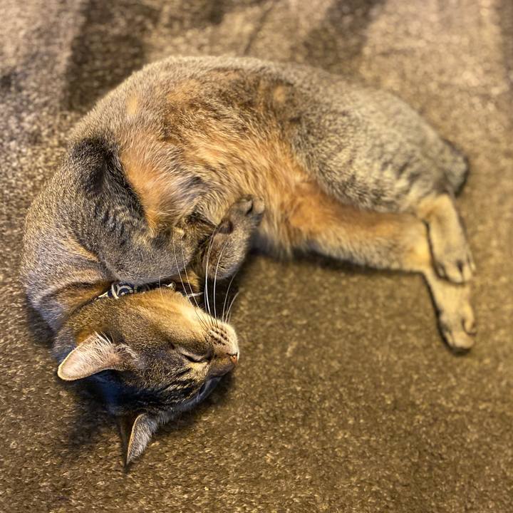 94c5ab17 b8c4 4c23 b5eb 8a6253c8d596 1574923564925