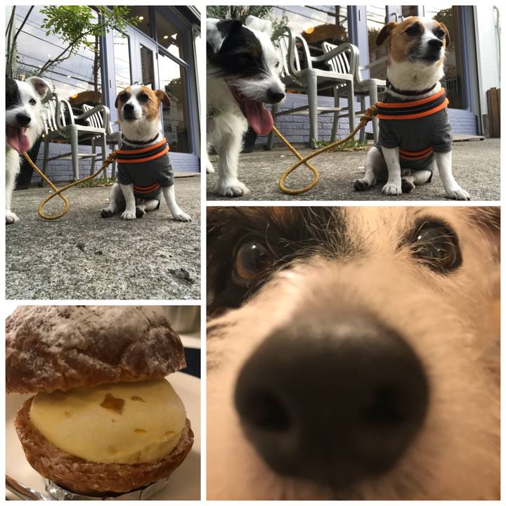 94c5f077 de10 4a32 b0fb c210985df9e7 1528032188566