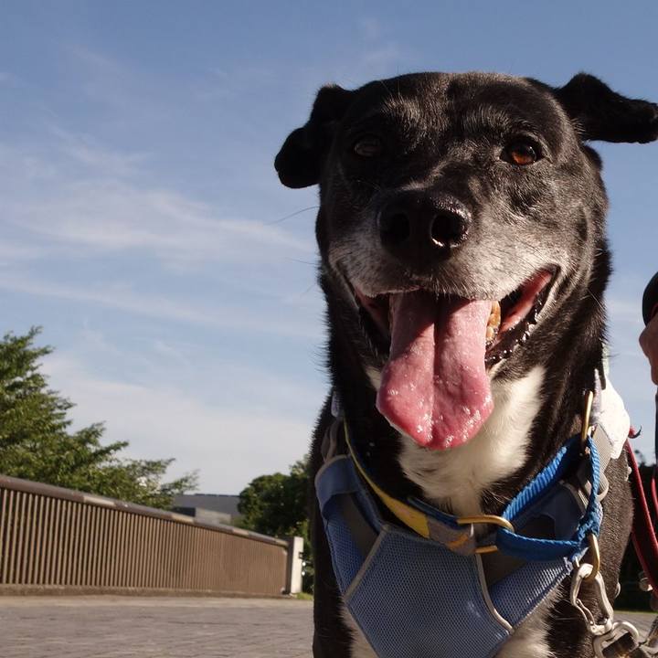 94c62b66 07a6 4456 ab06 84febe9e9ee9 1752796298384