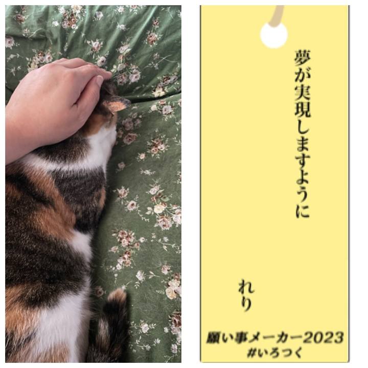 94c658fe 8441 42ea 8ade 8cbfcd732c4f 1688638564074