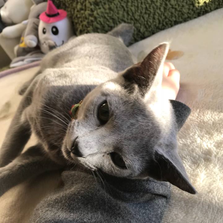 94c6ac0f 0519 4fb0 82c8 752bb76cefc3 1514190327281