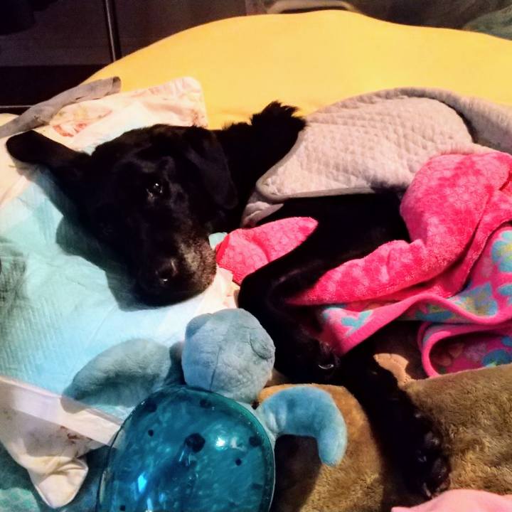 94c6ad87 4ae6 4441 a391 932db5c46033 1732412071670