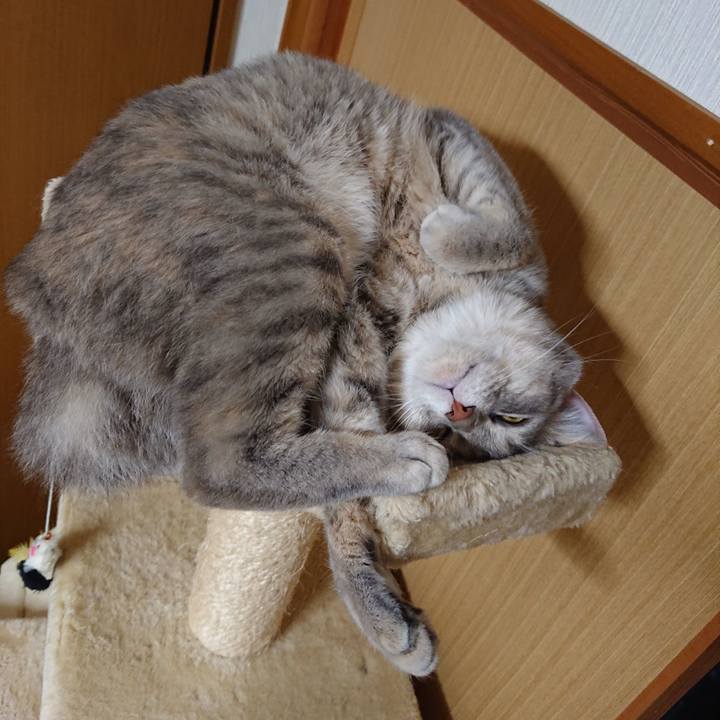 94c6f506 47c1 48db bfb5 a9c342493ae2 1559572285788