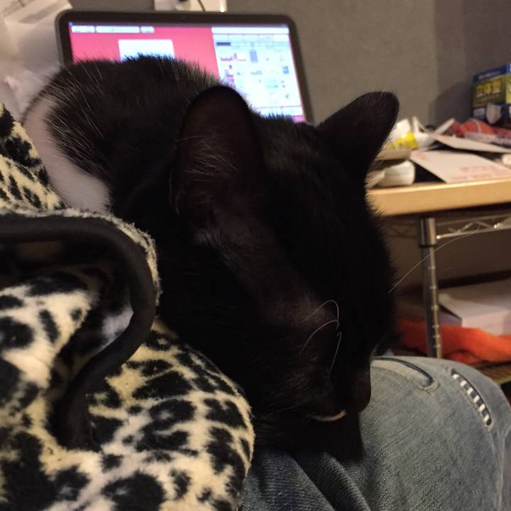 94c70718 d0e4 4b6d b7c2 61b902929a94 1514448768509