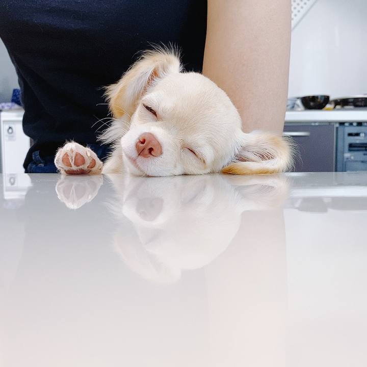 94c707a4 5a89 419b b45f 26391ab7b210 1596606437747