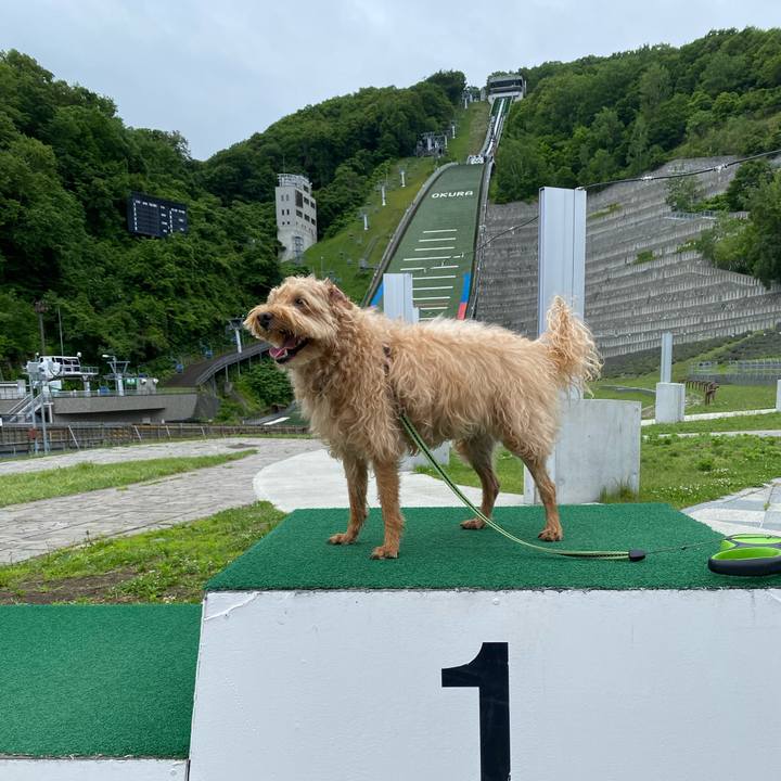 94c73500 eb80 407d 9aff 97f44c714e44 1656724421323