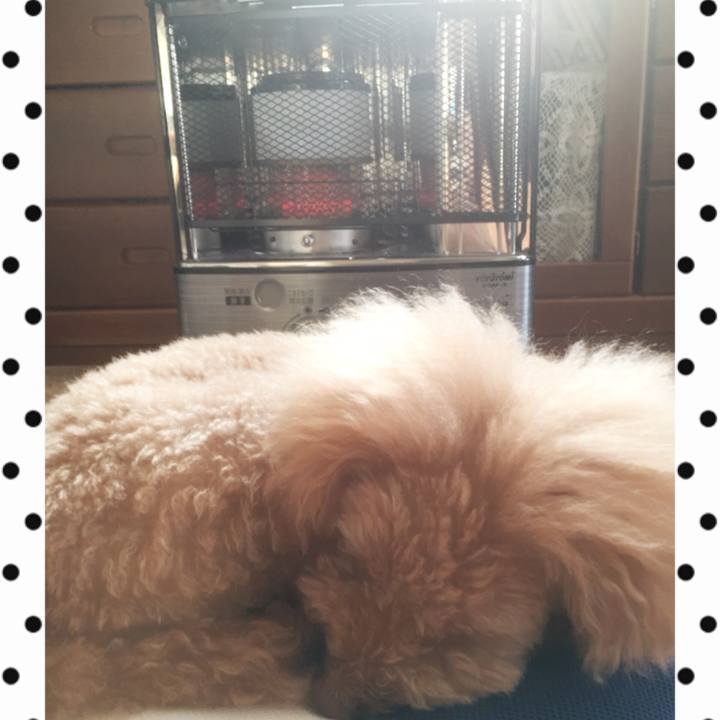 94c74fce 2114 453e bdcc 89179c769704 1516490929155