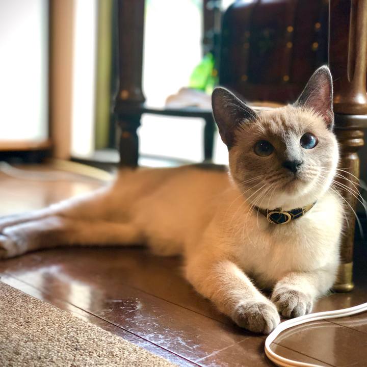 94c76047 a57e 471c acc8 d074fcf4f5d3 1593177014787