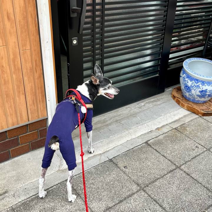 94c78d13 54c0 46c3 a4bc 1a87f515621f 1654417885430