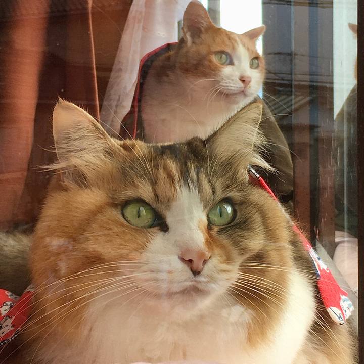 94c7d32c b718 4f92 b49c da731f1f14c0 1578564984315