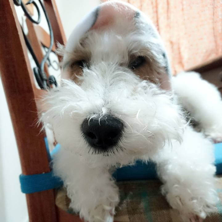 94c7dd62 af94 4a4d ade8 1238a9028a7d 1516541874033